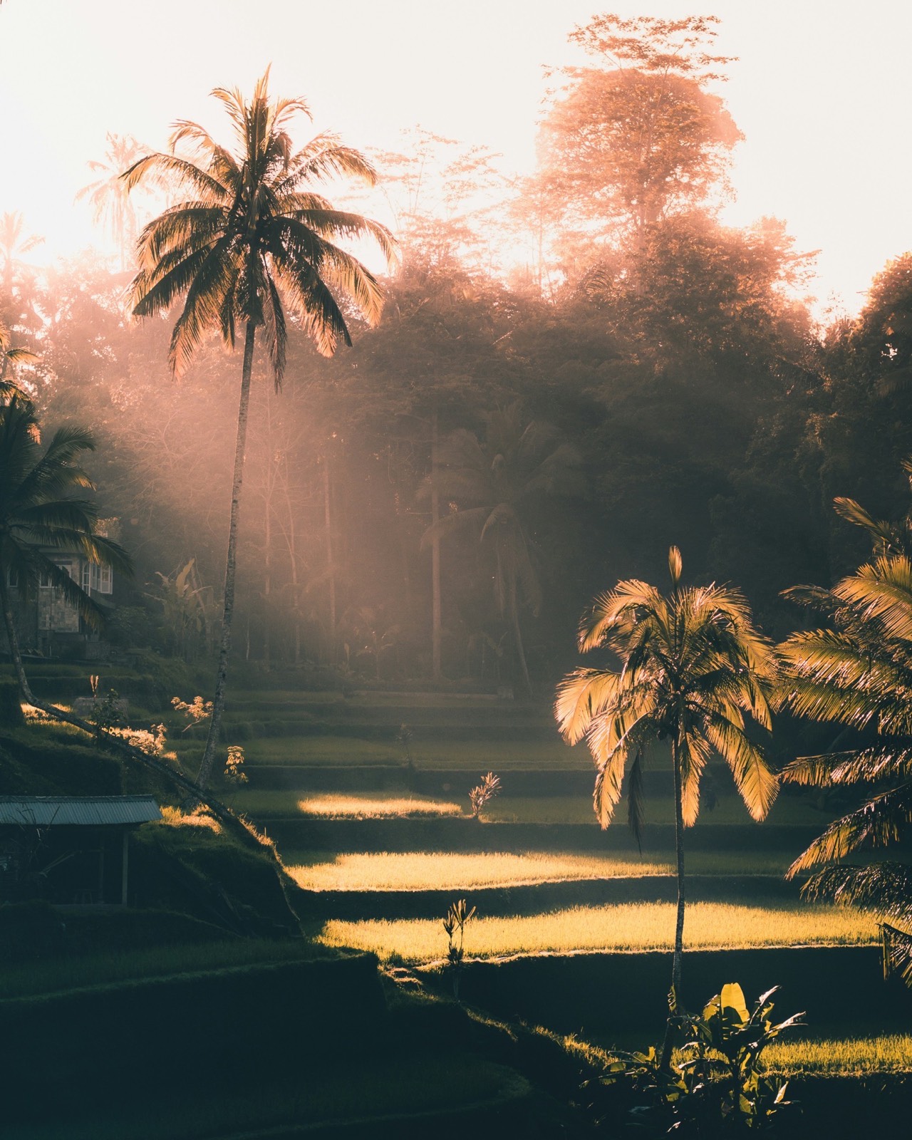 Bali